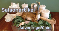 Saisonartikel